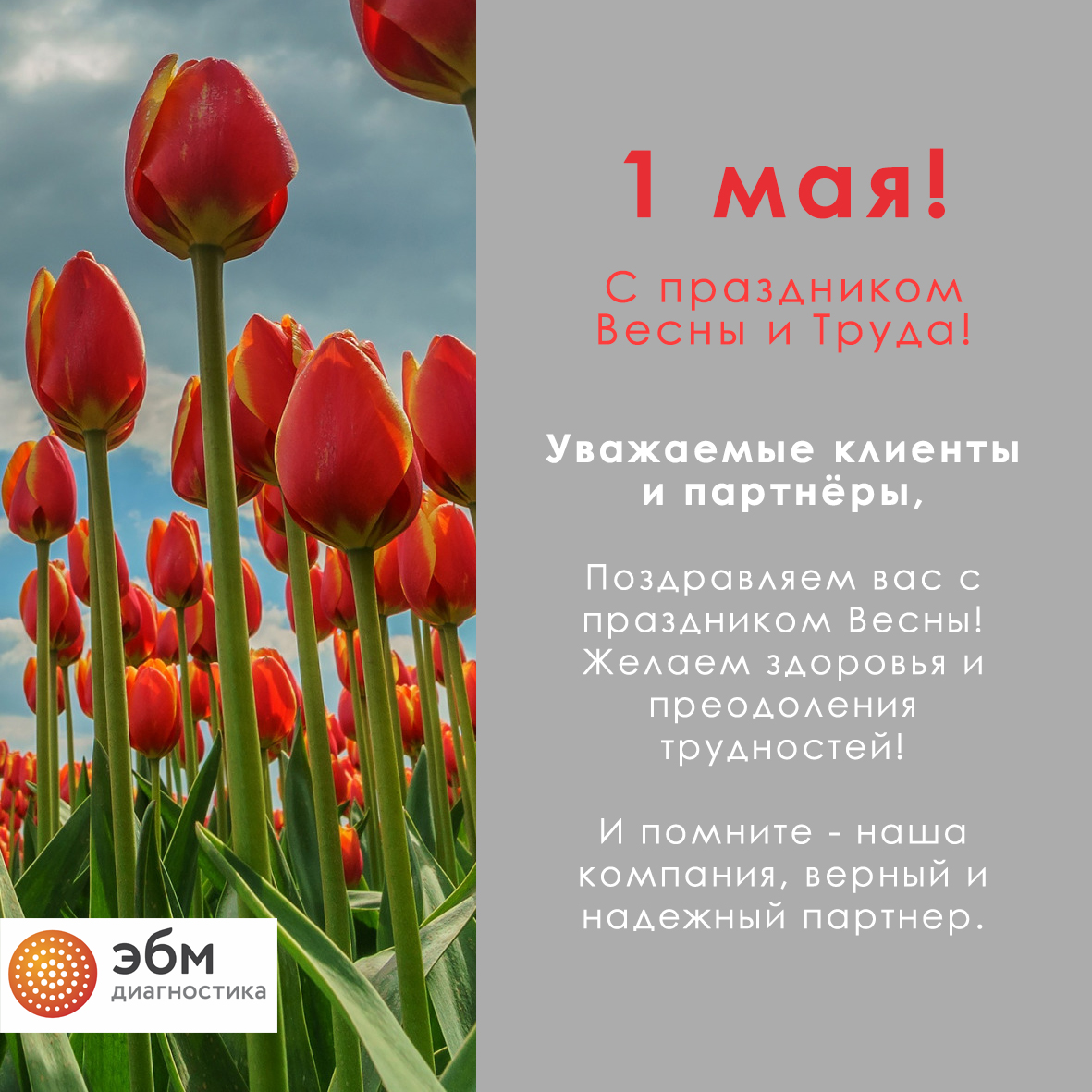 Открытка 1 мая.jpg